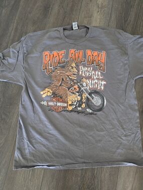 Harley-Davidson Men’s Gray 'Ride All Day' Graphic T-Shirt